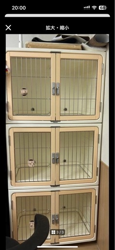 決まりました！！！