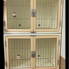 決まりました！！！の画像