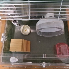 ハムスター　飼育セットの画像