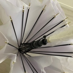【新品未使用】傘の画像
