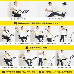 STEADY フィットネスバイクの画像