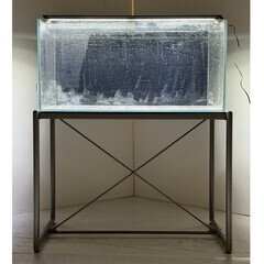 ADA90センチ水槽+ADA台の画像