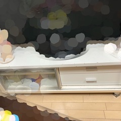 テレビ出品しますの画像