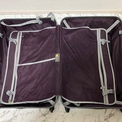 A.L.I ALIMAXG スーツケース キャリーケースの画像