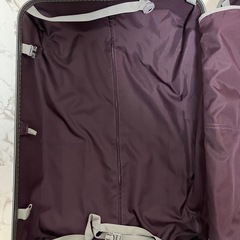 A.L.I ALIMAXG スーツケース キャリーケースの画像