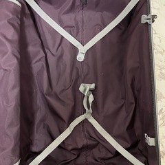 A.L.I ALIMAXG スーツケース キャリーケースの画像