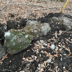 【大量】浅間溶岩石の画像