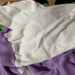 みいさんの画像