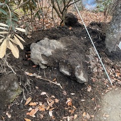 【大量】浅間溶岩石の画像
