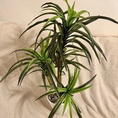 ニトリ　フェイクグリーンの画像