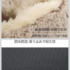 犬、猫、用、ベッドの画像