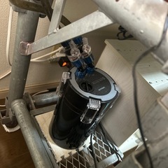 　決まりました　60センチ水槽の画像