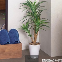 ニトリ　フェイクグリーンの画像