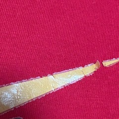 ナイキ 半袖Tシャツ 100の画像