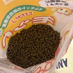 ひかりモットの画像