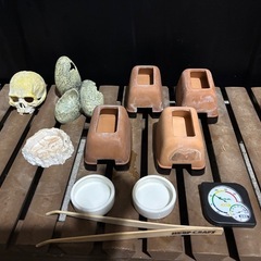 爬虫類飼育せっとセットの画像