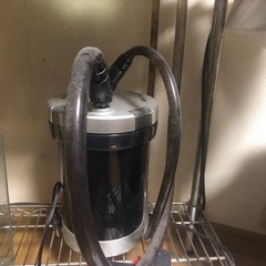 カージナルテトラ5匹、ラミノーズ2匹、コリドラス1匹、ヒーター、小さい水槽、水草など一式の画像