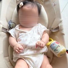 エルゴベビー バウンサー エボルブの画像