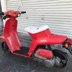 ホンダSKYの画像