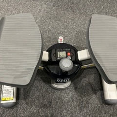 オアシスステッパーの画像