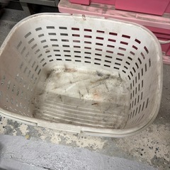 カゴ 野菜収穫等にの画像