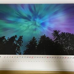 Nikon(ニコン)　 2026年カレンダーの画像