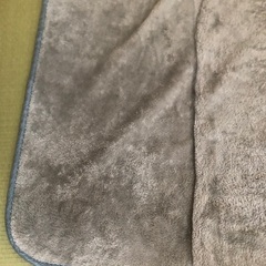 無料　カーペットの画像