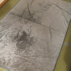 無料　カーペットの画像