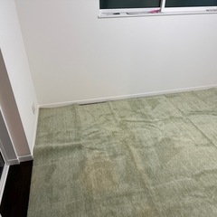 ラグ カーペット グリーン  の画像