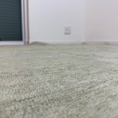 ラグ カーペット グリーン  の画像