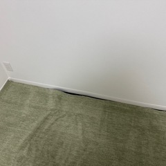 ラグ カーペット グリーン  の画像