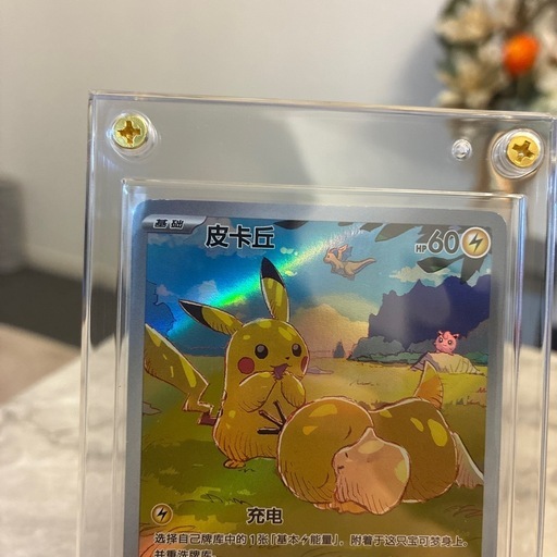 正規品ポケモンカードar 中国版
