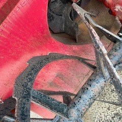 スノーラッセル　150　の画像