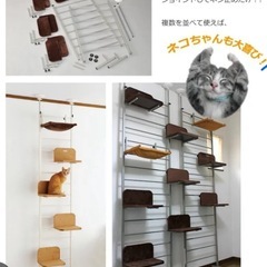 突っ張り式キャットタワーの画像