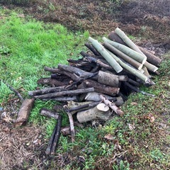 薪　丸太（広葉樹）の画像