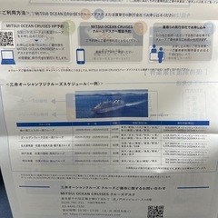 フェリーサービスクーポン券・オーシャンクルーズクルーズご優待券の画像