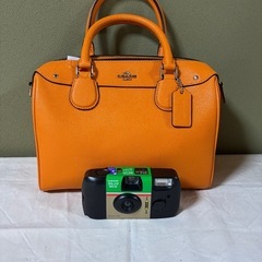 オレンジ　ミニボストンの画像