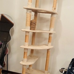 猫タワー  近ければ搬送無料の画像