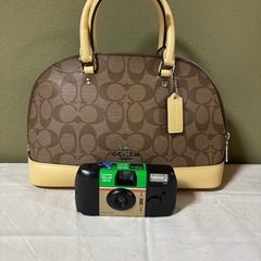 イエローベージュ　ミニボストンの画像