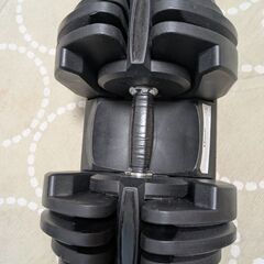 可変式ダンベル42キロ×2　福岡県内なら配達しますの画像