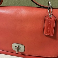 訳アリ　特化品①の画像