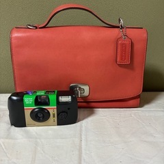 訳アリ　特化品①の画像