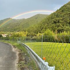 新米！令和7年産キヌヒカリ　玄米30kg の画像