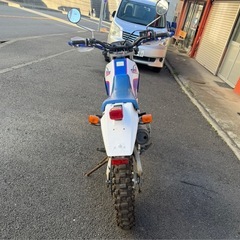 セロー225 実働の画像