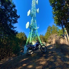 セロー225 実働の画像