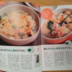 サラダレシピ本 & 野菜使いきりレシピ本　2冊セットの画像