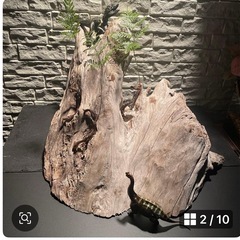 流木 アクアリウム 爬虫類 ハンドメイド テラリウムNo.31の画像