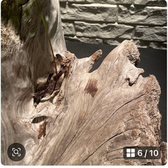 流木 アクアリウム 爬虫類 ハンドメイド テラリウムNo.31の画像