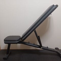 リーディングエッジ　マルチポジションベンチの画像