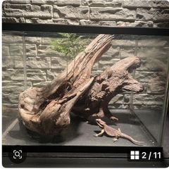 流木 アクアリウム 爬虫類 ハンドメイド テラリウムNo.32の画像